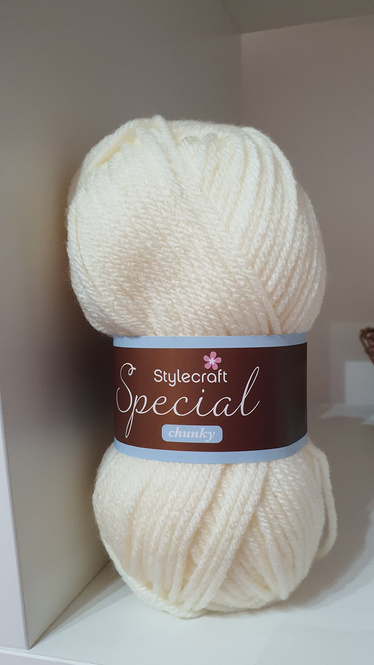 Stylecraft Special Chunky 100gms - 15 Shades