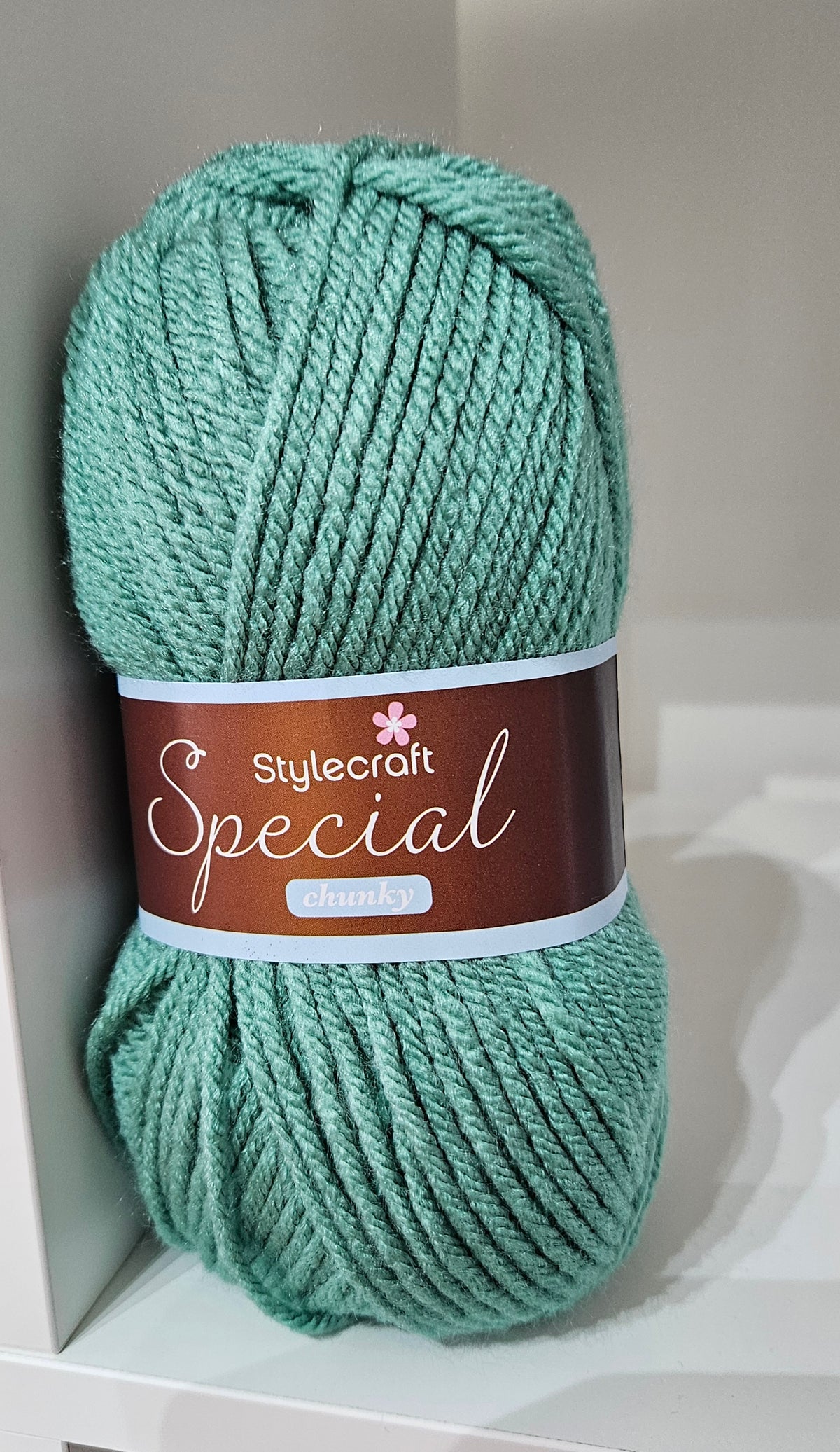 Stylecraft Special Chunky 100gms - 15 Shades